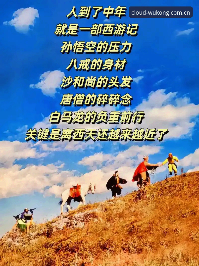 悟空体育平台最新动态：从官方入口到数字化体育体验的全面升级