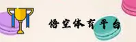 悟空体育官方网站